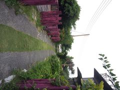 iphone_upload_pic-原野牧场