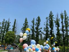 -前小桔亲子创意农场·草莓采摘·露营烧烤