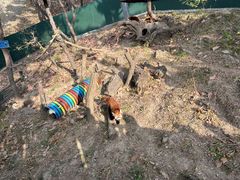 -大连森林动物园