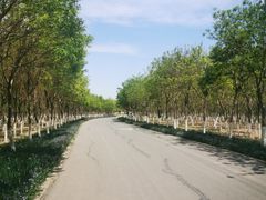 -西青郊野公园