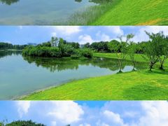 -升仙湖公园