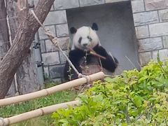 -大青山野生动物园