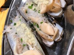 爱尔兰圣子皇-蚝专家(北滘店)