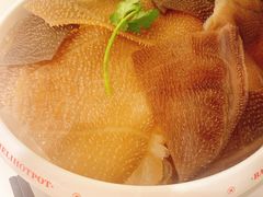 毛肚-八合里牛肉火锅(上海世茂广场店)