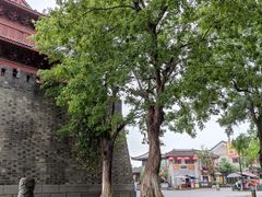 -巴陵广场