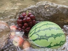 -龙窝子