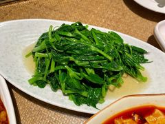 清炒豌豆尖-渝信川菜(西单店)
