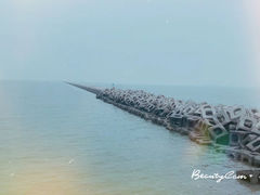 -东疆建设开发纪念公园