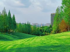 -成都保利公园皇冠假日酒店(熊猫基地店)