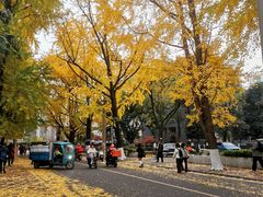 -四川大学(华西校区)