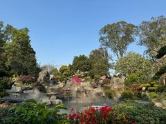 -东莞植物园
