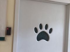 -瑞派宠物医院·24小时骨科·心脏·核磁(哈尔滨南岗店)