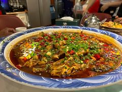-新概念来凤鱼(璧山店)