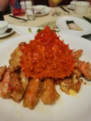 -上海雅居乐万豪侯爵酒店·宴会厅