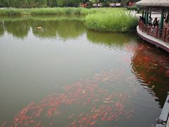 -西海子公园