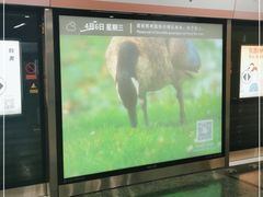 -蒲黄榆(地铁站)