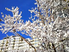 -大连市游泳馆-地面停车场