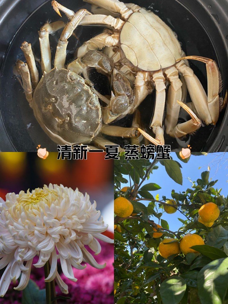 秋风起蟹脚肥