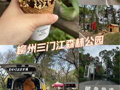 -三门江国家森林公园