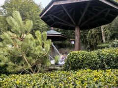 -威海天沐度假区温泉