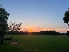 -春花秋色城市公园