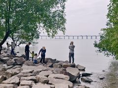 -宝安西湾红树林湿地公园