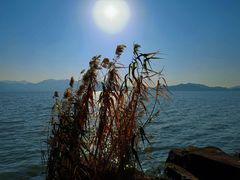 -东钱湖小普陀景区