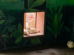 -辛玛王国游乐园