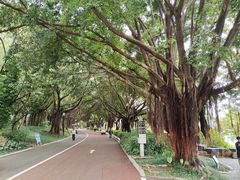 -南宁南湖公园