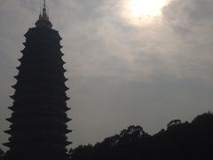 iphone_upload_pic-听松楼·花园酒店·自助餐厅(红梅公园店)