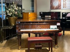 -柏斯音乐艺术中心·钢琴·吉他(上音店)