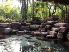 -三亚珠江南田温泉度假区