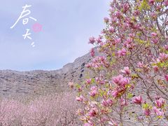 -北京明城墙遗址公园