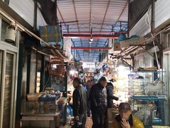 -万商花鸟市场