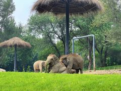 -北京野生动物园