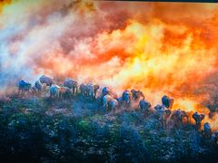 -罗红摄影艺术馆