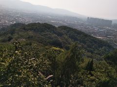 -灵岩山风景区