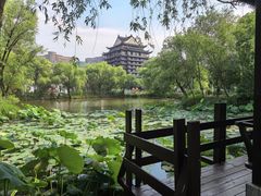 -长兴太湖图影湿地文化园