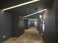 -万象影城(石家庄万象城IMAX激光店)