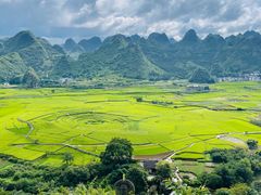 -万峰林风景区