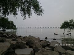 -宝安西湾红树林湿地公园