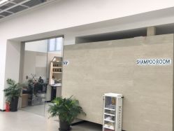 -蚂蚁造型俱乐部