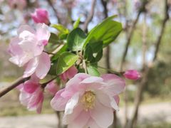 -大兴滨河森林公园