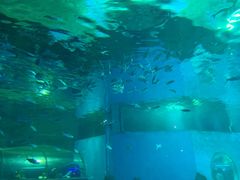 -北戴河圣蓝海洋公园