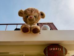 -小意思咖啡店(草桥店)