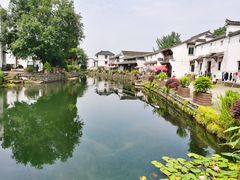 -东梓关景区村庄