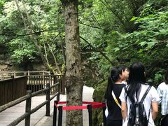 -牛背梁国家森林公园