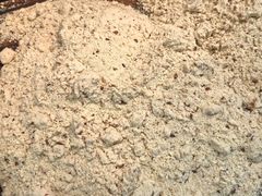 -钜记手信(新马路旗舰店)