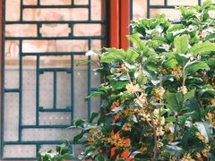 -颐和园