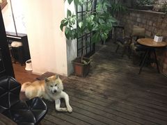 -久馆NineHouse